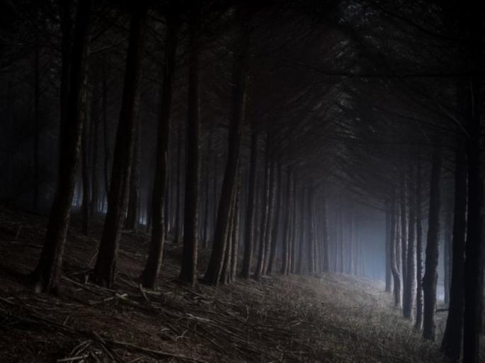 'Fear does not end here ...' Light up his well-known poem on the occasion of poet Grace's birthday! | 'भय इथले संपत नाही...' कवी ग्रेस यांच्या जयंतीनिमित्त त्यांच्या सुप्रसिद्ध कवितेला उजाळा! 'Fear does not end here ...' Light up his well-known poem on the occasion of poet Grace's birthday! | 'भय इथले संपत नाही...' कवी ग्रेस यांच्या जयंतीनिमित्त त्यांच्या सुप्रसिद्ध कवितेला उजाळा!