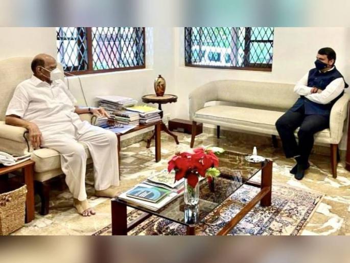 Devendra Fadnavis meets ncp chief Sharad Pawar in mumbai | Devendra Fadnavis: देवेंद्र फडणवीसांनी घेतली शरद पवारांची भेट; नेमकं कारण काय?, चर्चांना उधाण Devendra Fadnavis meets ncp chief Sharad Pawar in mumbai | Devendra Fadnavis: देवेंद्र फडणवीसांनी घेतली शरद पवारांची भेट; नेमकं कारण काय?, चर्चांना उधाण
