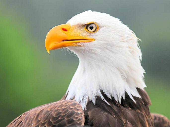 Don’t change the work, try changing the method of work; You will definitely feel the difference! | काम बदलू नका, कामाची पद्धत बदलून पहा; फरक निश्चित जाणवेल! Don’t change the work, try changing the method of work; You will definitely feel the difference! | काम बदलू नका, कामाची पद्धत बदलून पहा; फरक निश्चित जाणवेल!