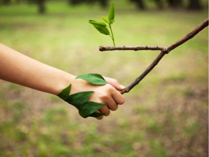 World Environment Day: Tukobara's vision for the environment by saying 'Vrikshavalli Amha Soyare'! | जागतिक पर्यावरण दिवस: 'वृक्षवल्ली आम्हा सोयरे' म्हणत पर्यावरणाबद्दल तुकोबारायांचा दूरदृष्टीकोन! World Environment Day: Tukobara's vision for the environment by saying 'Vrikshavalli Amha Soyare'! | जागतिक पर्यावरण दिवस: 'वृक्षवल्ली आम्हा सोयरे' म्हणत पर्यावरणाबद्दल तुकोबारायांचा दूरदृष्टीकोन!