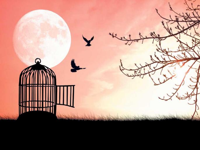 If you feel that nothing new is happening in your life or progress has suddenly stopped, then read this story! | आयुष्यात नवीन काहीच घडत नाहीये किंवा एकाएक प्रगती थांबलीये असे वाटत असेल, तर ही गोष्ट वाचा! If you feel that nothing new is happening in your life or progress has suddenly stopped, then read this story! | आयुष्यात नवीन काहीच घडत नाहीये किंवा एकाएक प्रगती थांबलीये असे वाटत असेल, तर ही गोष्ट वाचा!