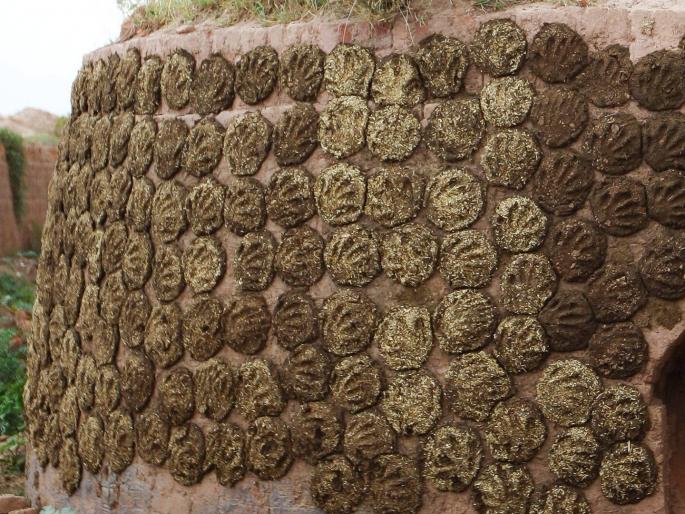in uttar pradesh 4 die after inhaling toxic gas released by dung cakes | गोवऱ्यांमधून निघालेल्या विषारी वायूमुळे एकाच कुटुंबातील तिघांचा मृत्यू; गावावर शोककळा