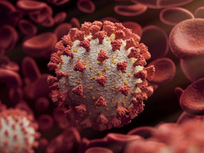 Four Variants Of Corona Can Be Dangerous For India Experts Suggestions Delta Variant | CoronaVirus News: संकट संपता संपेना! आणखी चार व्हेरिएंट ठरणार धोकादायक; तज्ज्ञांचा गंभीर इशारा Four Variants Of Corona Can Be Dangerous For India Experts Suggestions Delta Variant | CoronaVirus News: संकट संपता संपेना! आणखी चार व्हेरिएंट ठरणार धोकादायक; तज्ज्ञांचा गंभीर इशारा