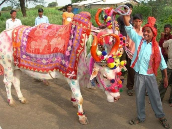 Know more about Vrushabhvrat; Read detailed information, vows and importance! | ज्येष्ठ अमावस्येला आहे शिवलोकाकडे नेणारे वृषभव्रत; वाचा सविस्तर माहिती, व्रत आणि महत्त्व! Know more about Vrushabhvrat; Read detailed information, vows and importance! | ज्येष्ठ अमावस्येला आहे शिवलोकाकडे नेणारे वृषभव्रत; वाचा सविस्तर माहिती, व्रत आणि महत्त्व!