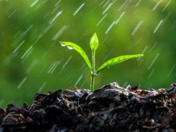 Ashadhi Ekadashi 2021 : Recognition, importance and appreciation of Ashadh month starting from 11th July! | Ashadhi Ekadashi 2021 : ११ जुलैपासून सुरू होत असलेल्या 'आषाढ' मासाची ओळख, महत्त्व आणि रसग्रहण! Ashadhi Ekadashi 2021 : Recognition, importance and appreciation of Ashadh month starting from 11th July! | Ashadhi Ekadashi 2021 : ११ जुलैपासून सुरू होत असलेल्या 'आषाढ' मासाची ओळख, महत्त्व आणि रसग्रहण!