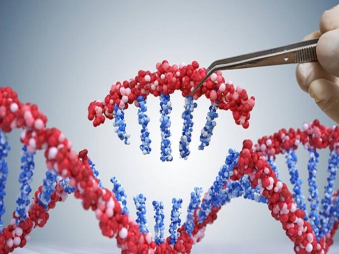 CoronaVirus News Genome Sequencing Lab Strengthens Fight Against Corona | CoronaVirus News: जिनोम सिक्वेन्सिंग लॅबमुळे कोरोनाविरुद्धच्या लढ्याला बळ CoronaVirus News Genome Sequencing Lab Strengthens Fight Against Corona | CoronaVirus News: जिनोम सिक्वेन्सिंग लॅबमुळे कोरोनाविरुद्धच्या लढ्याला बळ