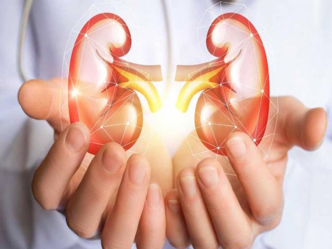 Chennai Man Has 5 Kidneys After Three Kidney Transplant | एक-दोन नव्हे, 'या' व्यक्तीच्या शरीरात पाच किडनी; डॉक्टरांनी करून दाखवला चमत्कार Chennai Man Has 5 Kidneys After Three Kidney Transplant | एक-दोन नव्हे, 'या' व्यक्तीच्या शरीरात पाच किडनी; डॉक्टरांनी करून दाखवला चमत्कार