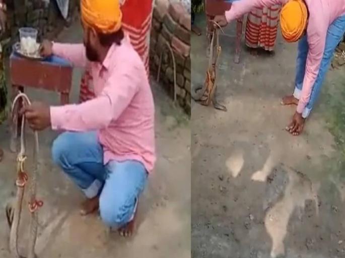 brother died due to snake bite after he tries to tie rakhi on it from sister | बहिणीकडून बांधून घेत होता नागांना राखी; तितक्यात भावाच्या पायाला नागाचा दंश अन् मग... brother died due to snake bite after he tries to tie rakhi on it from sister | बहिणीकडून बांधून घेत होता नागांना राखी; तितक्यात भावाच्या पायाला नागाचा दंश अन् मग...