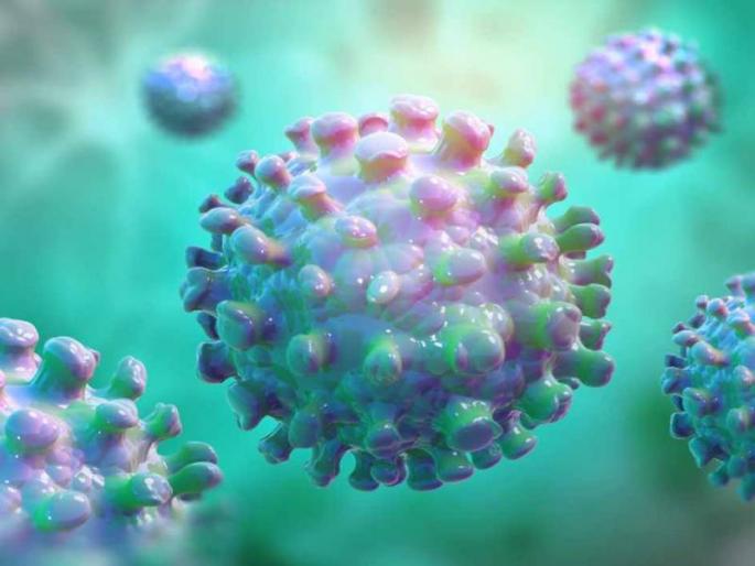 Kerala Suspected case of Nipah virus comes in Kozhikode 12 year old child admitted in hospital | Nipah Virus: मोठी बातमी! केरळमध्ये निपाह विषाणूची एन्ट्री, १२ वर्षीय मुलाचा मृत्यू; प्रशासनाला खडबडून जाग, केंद्राचीही टीम रवाना Kerala Suspected case of Nipah virus comes in Kozhikode 12 year old child admitted in hospital | Nipah Virus: मोठी बातमी! केरळमध्ये निपाह विषाणूची एन्ट्री, १२ वर्षीय मुलाचा मृत्यू; प्रशासनाला खडबडून जाग, केंद्राचीही टीम रवाना