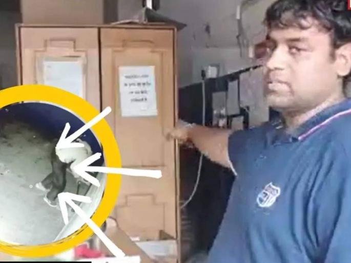 Cigarette Worth Rs 40l Stolen From Godown In rajasthan And Thief Caught On Camera | अजब चोराची गजब गोष्ट! चोरीआधी गोदामाच्या शटरला नमस्कार; चोरी पाहून मालक हैराण Cigarette Worth Rs 40l Stolen From Godown In rajasthan And Thief Caught On Camera | अजब चोराची गजब गोष्ट! चोरीआधी गोदामाच्या शटरला नमस्कार; चोरी पाहून मालक हैराण