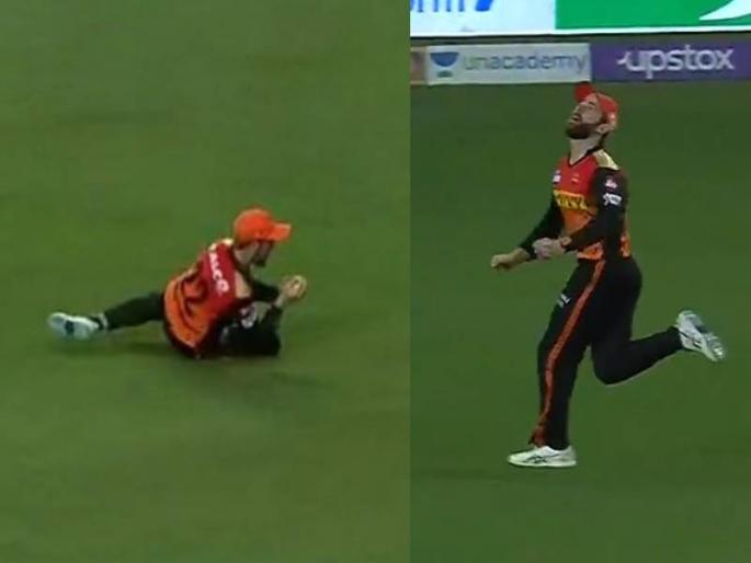 IPL 2021 dc vs srh kane williamson stunning catch of prithvi shaw watch video | IPL 2021: बाबो! कसला भारी झेल टिपलाय... विल्यमसन मानलं बुवा; पाहा Video