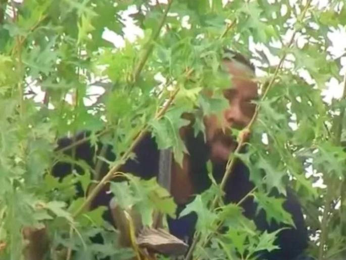 wanted man climb on tree to avoid police arrest cops kept waiting for 24 hours | अटक टाळण्यासाठी आरोपी झाडावर चढला; २४ तास तिथेच बसून राहिला; अन् मग... wanted man climb on tree to avoid police arrest cops kept waiting for 24 hours | अटक टाळण्यासाठी आरोपी झाडावर चढला; २४ तास तिथेच बसून राहिला; अन् मग...