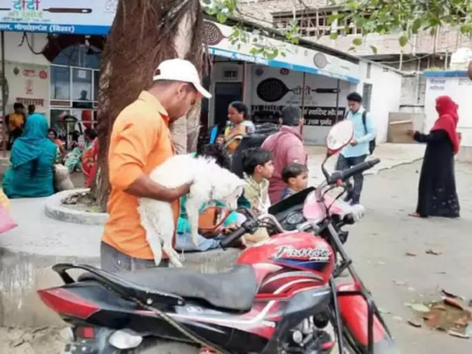 Angry Owner Also Bitten The Dog With His Teeth In Gopalganj Then Both Reached The Hospital | कुत्रा मालकाला चावला, संतप्त मालक कुत्र्याला चावला; अन् मग भलताच प्रकार घडला Angry Owner Also Bitten The Dog With His Teeth In Gopalganj Then Both Reached The Hospital | कुत्रा मालकाला चावला, संतप्त मालक कुत्र्याला चावला; अन् मग भलताच प्रकार घडला