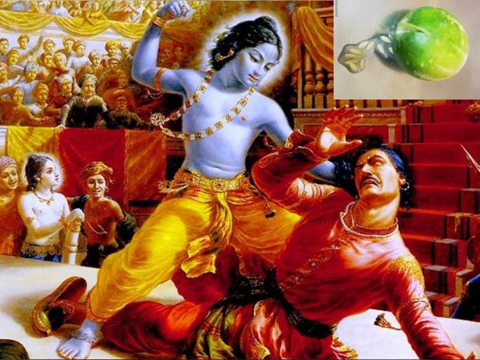 Diwali 2021: Which promise Narakasura asked Lord Krishna before his death? Read more! | Diwali 2021 : नरकासुराने मृत्यूपूर्वी श्रीकृष्णाजवळ कोणता वर मागितला होता? सविस्तर वाचा! Diwali 2021: Which promise Narakasura asked Lord Krishna before his death? Read more! | Diwali 2021 : नरकासुराने मृत्यूपूर्वी श्रीकृष्णाजवळ कोणता वर मागितला होता? सविस्तर वाचा!
