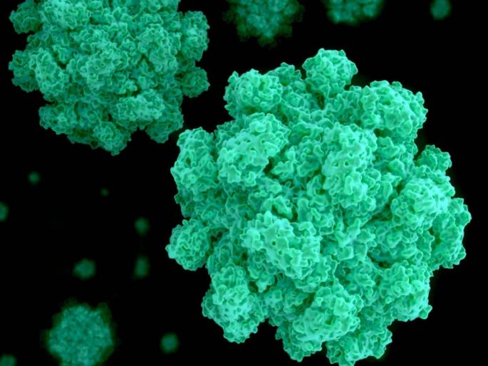 Kerala reports 13 cases of Norovirus government says be cautious of very contagious virus | NoroVirus: चिंताजनक! कोरोना संकट कायम असताना नव्या विषाणूची एंट्री; नोरोव्हायरसनं चिंता वाढवली Kerala reports 13 cases of Norovirus government says be cautious of very contagious virus | NoroVirus: चिंताजनक! कोरोना संकट कायम असताना नव्या विषाणूची एंट्री; नोरोव्हायरसनं चिंता वाढवली