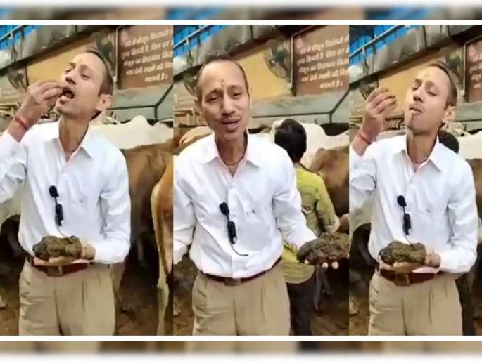 karnal doctor manoj mittal consumes cow dung urine claim it to be cure of many diseases | शेणानं तन-मन पवित्र होतं! फायदे सांगता सांगता डॉक्टरांनी शेण खाल्लं; व्हिडीओ व्हायरल karnal doctor manoj mittal consumes cow dung urine claim it to be cure of many diseases | शेणानं तन-मन पवित्र होतं! फायदे सांगता सांगता डॉक्टरांनी शेण खाल्लं; व्हिडीओ व्हायरल