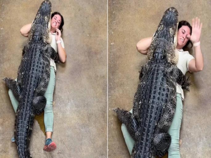 girl hugged 90 kg crocodile see what happened viral video | मगरमिठी! तरुणीच्या अंगावर ९० किलोची मगर चढली, घट्ट मिठी मारली अन् मग... girl hugged 90 kg crocodile see what happened viral video | मगरमिठी! तरुणीच्या अंगावर ९० किलोची मगर चढली, घट्ट मिठी मारली अन् मग...