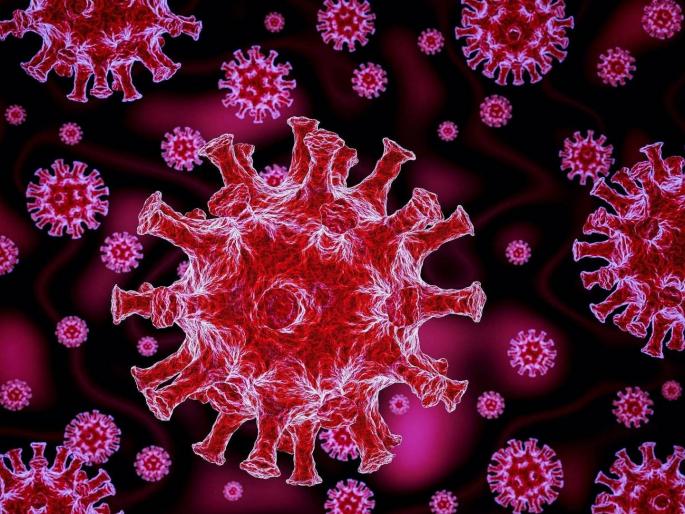 omicron variant causing mild illness says south african medical association | CoronaVirus News: कोरोनाच्या नव्या व्हेरिएंटचा सर्वाधिक धोका कोणाला?; समोर आली महत्त्वाची माहिती