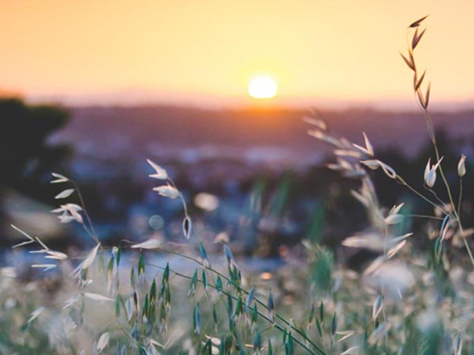 When does Dhundhurmas start? What exactly is its feature? Read more! | धुंधुरमास कधीपासून सुरू होत आहे? त्याचे नेमके वैशिष्ट्य काय? सविस्तर वाचा! When does Dhundhurmas start? What exactly is its feature? Read more! | धुंधुरमास कधीपासून सुरू होत आहे? त्याचे नेमके वैशिष्ट्य काय? सविस्तर वाचा!