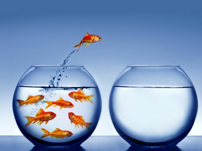 Be sure to read the 'this' resolution once before making a New Year's resolution; It will definitely change your life! | नववर्षाचे संकल्प करण्याआधी एकदा 'हा' संकल्प जरूर वाचा; तुमचे आयुष्य नक्की बदलेल! Be sure to read the 'this' resolution once before making a New Year's resolution; It will definitely change your life! | नववर्षाचे संकल्प करण्याआधी एकदा 'हा' संकल्प जरूर वाचा; तुमचे आयुष्य नक्की बदलेल!