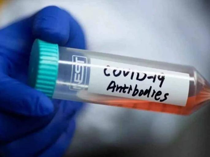 Covishield cover high 7 months after 2 doses 90 antibody prevalence seen study | Covishield Vaccine: 'कोविशील्ड'बाबत नवा दावा, दोन्ही डोस घेतलेल्यांमध्ये ७ महिन्यांनंतरही आढळल्या ९० टक्के अँटिबॉडिज Covishield cover high 7 months after 2 doses 90 antibody prevalence seen study | Covishield Vaccine: 'कोविशील्ड'बाबत नवा दावा, दोन्ही डोस घेतलेल्यांमध्ये ७ महिन्यांनंतरही आढळल्या ९० टक्के अँटिबॉडिज