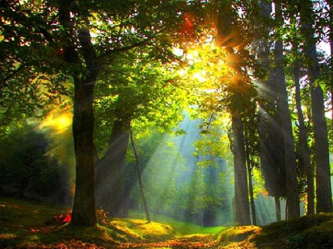 Start your day and New Year with 'these' verses! | आपल्या दिवसाची आणि नव वर्षाची प्रसन्न सुरुवात 'या' श्लोकांनी करा! Start your day and New Year with 'these' verses! | आपल्या दिवसाची आणि नव वर्षाची प्रसन्न सुरुवात 'या' श्लोकांनी करा!