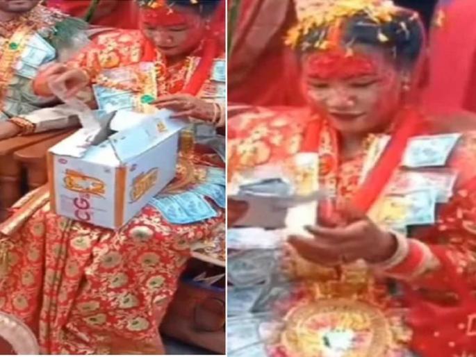 Friend gave a funny gift to bride users will laugh after watching this funny clip | मित्रमंडळींनी नववधुला दिलं अनोखं गिफ्ट, सर्वजण पाहातच बसले; पाहा VIDEO Friend gave a funny gift to bride users will laugh after watching this funny clip | मित्रमंडळींनी नववधुला दिलं अनोखं गिफ्ट, सर्वजण पाहातच बसले; पाहा VIDEO