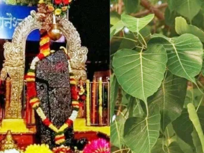 Those who are suffering from Sadhesati, don't do these mistakes! | ज्यांची साडेसाती सुरू आहे त्यांनी 'या' चुका करून शनिपीडा ओढवून घेऊ नका! Those who are suffering from Sadhesati, don't do these mistakes! | ज्यांची साडेसाती सुरू आहे त्यांनी 'या' चुका करून शनिपीडा ओढवून घेऊ नका!