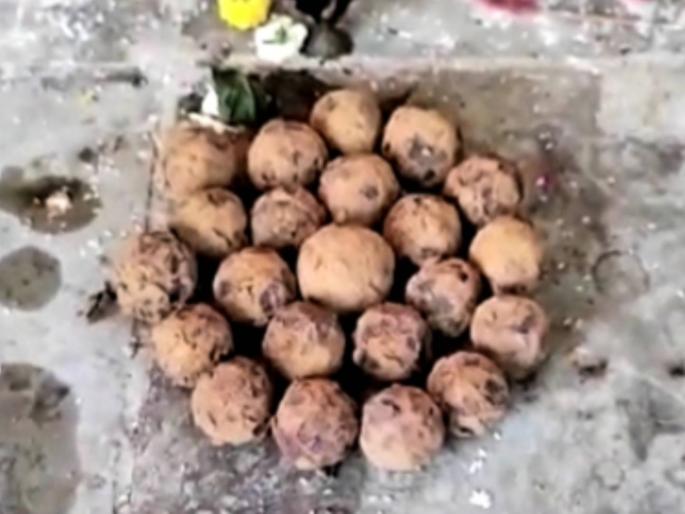 22 artillery shells found on Palgad crowd gathers at fort to watch | शिवकालीन पालगडावर सापडले २२ तोफगोळे; पाहण्यासाठी ग्रामस्थांची तोबा गर्दी 22 artillery shells found on Palgad crowd gathers at fort to watch | शिवकालीन पालगडावर सापडले २२ तोफगोळे; पाहण्यासाठी ग्रामस्थांची तोबा गर्दी