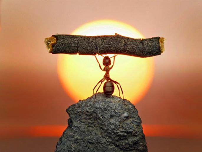 Your little positive action can change someone's world, read this story! | तुमची छोटीशी सकारात्मक कृती कोणाचे जग बदलू शकते, वाचा एका वारुळाची गोष्ट! Your little positive action can change someone's world, read this story! | तुमची छोटीशी सकारात्मक कृती कोणाचे जग बदलू शकते, वाचा एका वारुळाची गोष्ट!