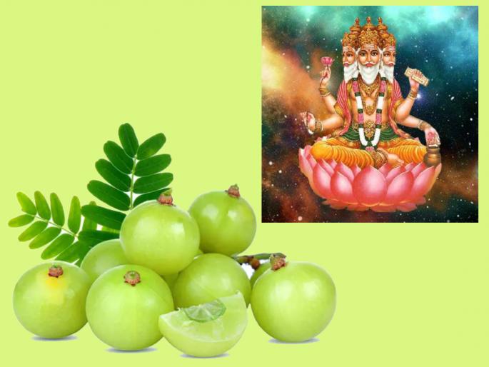 Amla was formed from the tears of Brahma; Importance of Amla on the occasion of Amalki Ekadashi! | ब्रह्मदेवाच्या अश्रूंपासून झाली आवळ्याची निर्मिती; आमलकी एकादशीनिमित्त वाचा आवळ्याचे महत्त्व! Amla was formed from the tears of Brahma; Importance of Amla on the occasion of Amalki Ekadashi! | ब्रह्मदेवाच्या अश्रूंपासून झाली आवळ्याची निर्मिती; आमलकी एकादशीनिमित्त वाचा आवळ्याचे महत्त्व!