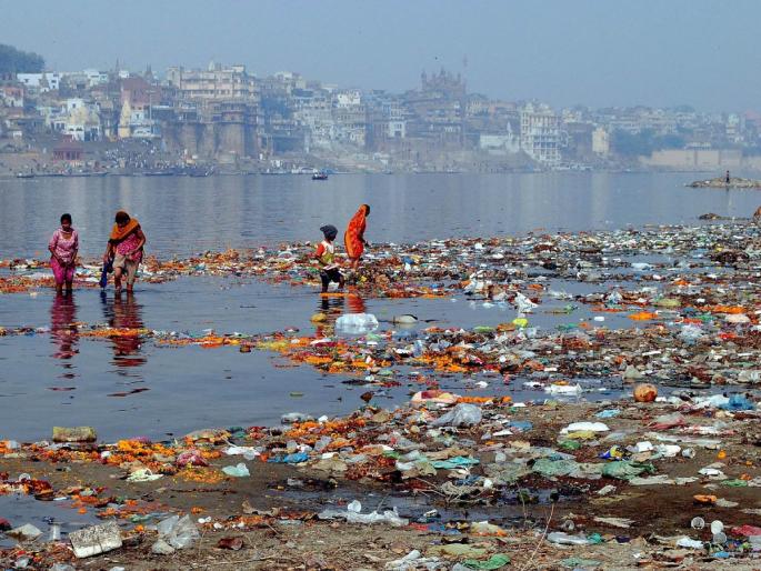 Why not throw God's worship flowers in the trash? Where to put it? Find out! | देवाच्या पूजेची फुले कचऱ्याच्या टोपलीत का टाकू नयेत? ती कुठे टाकणे योग्य? ते जाणून घ्या!