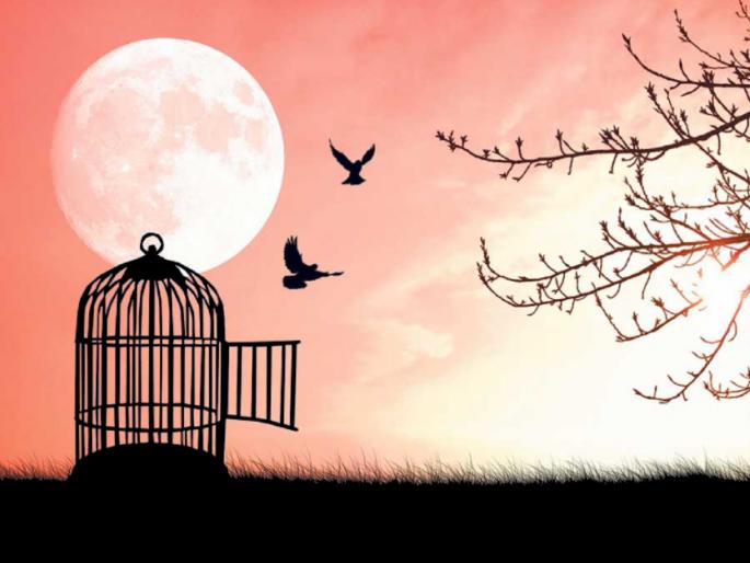 If you want the wheel of your progress to run smoothly, then read this story! | आपल्या प्रगतीचे चाक सुरळीत चालू राहावे असे वाटत असेल तर 'ही' गोष्ट एकदा वाचाच! If you want the wheel of your progress to run smoothly, then read this story! | आपल्या प्रगतीचे चाक सुरळीत चालू राहावे असे वाटत असेल तर 'ही' गोष्ट एकदा वाचाच!