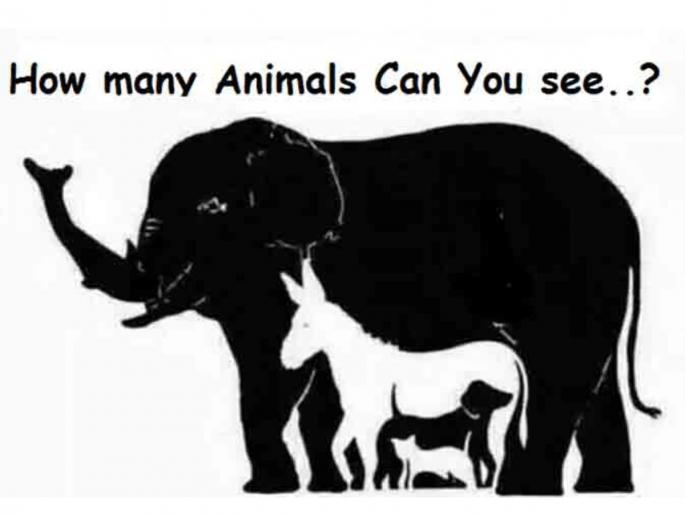 how many animals are there in this picture 9 out of 10 people have failed to tell | सांगा पाहू 'या' फोटोत किती प्राणी आहेत? १० पैकी ९ जणांनी दिलं चुकीचं उत्तर! how many animals are there in this picture 9 out of 10 people have failed to tell | सांगा पाहू 'या' फोटोत किती प्राणी आहेत? १० पैकी ९ जणांनी दिलं चुकीचं उत्तर!