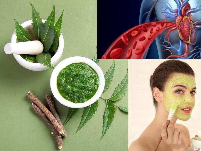 Gudi Padwa 2022: If you want to get rid of chronic diseases and have a radiant body, then use neem leaves from Gudi Padwa! | Gudi Padwa 2022 : दुर्धर आजारापासून मुक्ती आणि तेजस्वी शरीर हवे असेल तर कडुलिंबाच्या पानांचा गुढी पाडव्यापासून 'असा' वापर करा! Gudi Padwa 2022: If you want to get rid of chronic diseases and have a radiant body, then use neem leaves from Gudi Padwa! | Gudi Padwa 2022 : दुर्धर आजारापासून मुक्ती आणि तेजस्वी शरीर हवे असेल तर कडुलिंबाच्या पानांचा गुढी पाडव्यापासून 'असा' वापर करा!