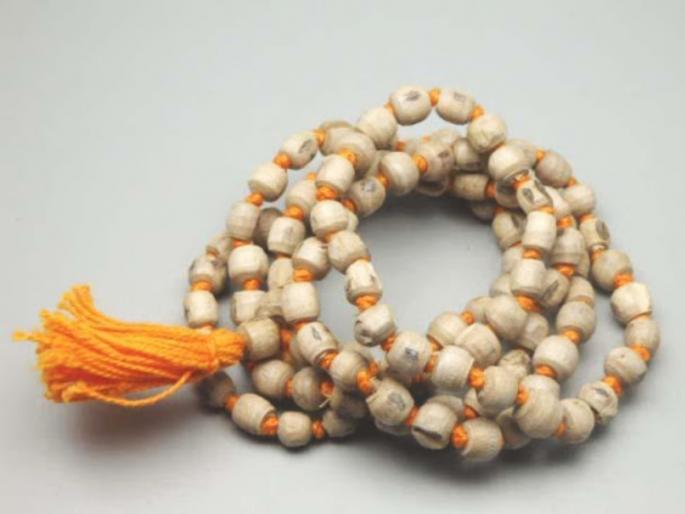 If you want to calm down the restless mind, use a garland of Tulsi and also preserve its purity! | अस्वस्थ मन शांत व्हावे असे वाटत असेल तर तुळशीची माळ वापरा आणि तिचे पावित्र्यही जपा! If you want to calm down the restless mind, use a garland of Tulsi and also preserve its purity! | अस्वस्थ मन शांत व्हावे असे वाटत असेल तर तुळशीची माळ वापरा आणि तिचे पावित्र्यही जपा!