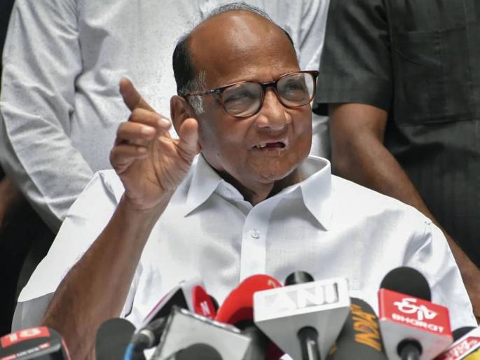 BJP dominating in the court battle Sharad Pawar answer brought laughter in press conference | न्यायालयीन लढतीत भाजपा वरचढ ठरतंय का?, शरद पवारांच्या उत्तरानं एकच हशा पिकला... BJP dominating in the court battle Sharad Pawar answer brought laughter in press conference | न्यायालयीन लढतीत भाजपा वरचढ ठरतंय का?, शरद पवारांच्या उत्तरानं एकच हशा पिकला...