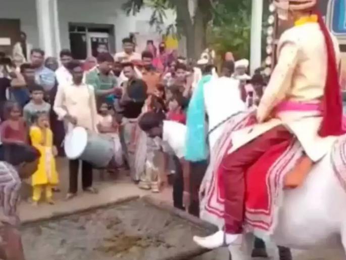 Horse scared of firecrackers runs away with groom still sitting on top | घोड्यावर बसून नवरदेवाची एंट्री; फटाके वाजू लागताच घोडा बिथरला, सुस्साट सुटला अन् मग... Horse scared of firecrackers runs away with groom still sitting on top | घोड्यावर बसून नवरदेवाची एंट्री; फटाके वाजू लागताच घोडा बिथरला, सुस्साट सुटला अन् मग...