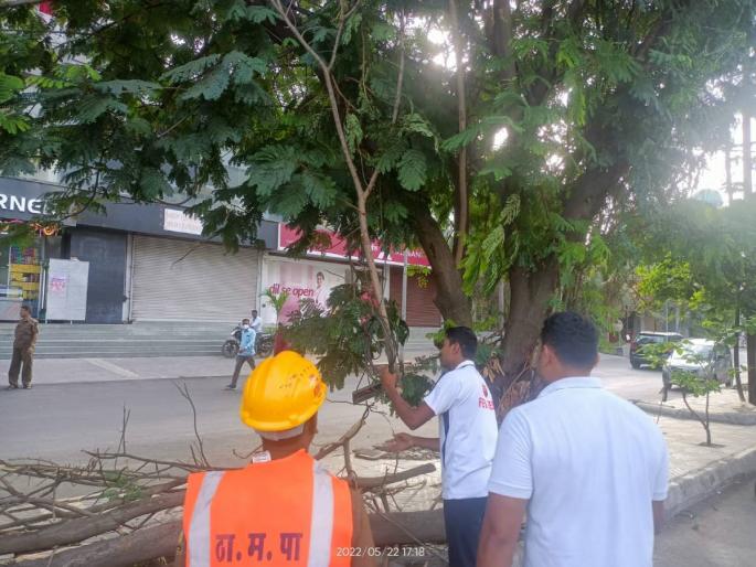 Two cyclists injured after falling a tree in Thane incident on Ghodbunder Road | ठाण्यात झाडाची फांदी पडल्याने दोघे दुचाकीस्वार जखमी, घोडबंदर रोडवरील घटना Two cyclists injured after falling a tree in Thane incident on Ghodbunder Road | ठाण्यात झाडाची फांदी पडल्याने दोघे दुचाकीस्वार जखमी, घोडबंदर रोडवरील घटना