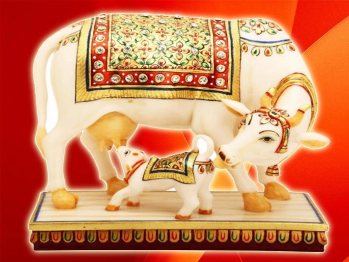 Vastu Tips: Keep the idol of Kamadhenu in the house according to Vastu Shastra, all desires will be fulfilled! | Vastu Tips: वास्तुशास्त्रानुसार घरात ठेवा कामधेनूची मूर्ती, होईल समस्त इच्छांची पूर्ती! Vastu Tips: Keep the idol of Kamadhenu in the house according to Vastu Shastra, all desires will be fulfilled! | Vastu Tips: वास्तुशास्त्रानुसार घरात ठेवा कामधेनूची मूर्ती, होईल समस्त इच्छांची पूर्ती!