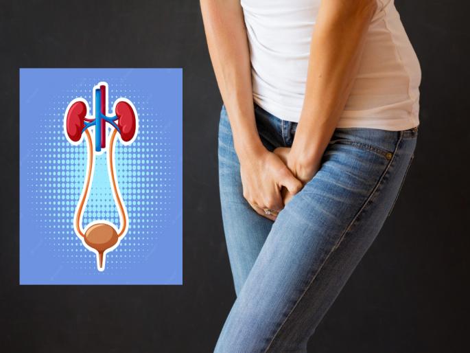 Urine Problem Remedies: If you lose control of urine while coughing, sneezing, start 'these' three things in your diet! | Urine Problem Remedies: खोकताना, शिंकताना लघवीचे नियंत्रण सुटत असेल तर 'या' तीन गोष्टी आहारात सुरू करा! Urine Problem Remedies: If you lose control of urine while coughing, sneezing, start 'these' three things in your diet! | Urine Problem Remedies: खोकताना, शिंकताना लघवीचे नियंत्रण सुटत असेल तर 'या' तीन गोष्टी आहारात सुरू करा!