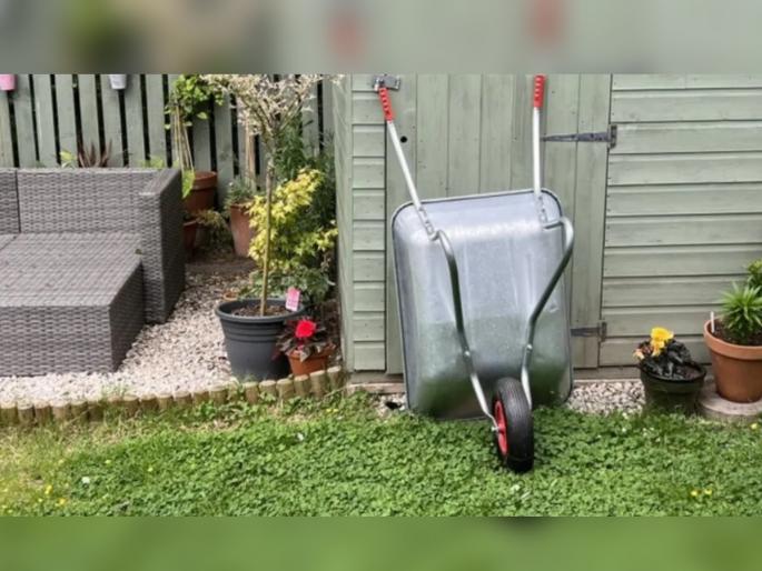 optical illusion find hidden cat in trending viral photo on social media | Optical Illusion: नजरेचा खेळ! बघुयात तुमची नजर किती तीक्ष्ण, 'या' चित्रातली मांजर शोधून दाखवा optical illusion find hidden cat in trending viral photo on social media | Optical Illusion: नजरेचा खेळ! बघुयात तुमची नजर किती तीक्ष्ण, 'या' चित्रातली मांजर शोधून दाखवा