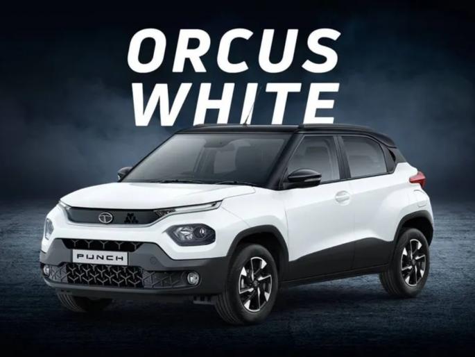 tata punch faced a big accident and none of hurt drivers and passenger | Tata Safty: 'टाटा'ची ताकद! भीषण अपघातात अनेकदा उलटली Tata Punch, पण कारमधील एकाही व्यक्तीला दुखापत नाही! tata punch faced a big accident and none of hurt drivers and passenger | Tata Safty: 'टाटा'ची ताकद! भीषण अपघातात अनेकदा उलटली Tata Punch, पण कारमधील एकाही व्यक्तीला दुखापत नाही!