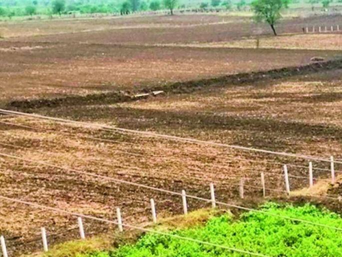 first e counting online registration form in the state was submitted from Bhiwandi | राज्यातील पहिला ई मोजणी ऑनलाईन नोंदणी अर्ज भिवंडीतून दाखल first e counting online registration form in the state was submitted from Bhiwandi | राज्यातील पहिला ई मोजणी ऑनलाईन नोंदणी अर्ज भिवंडीतून दाखल