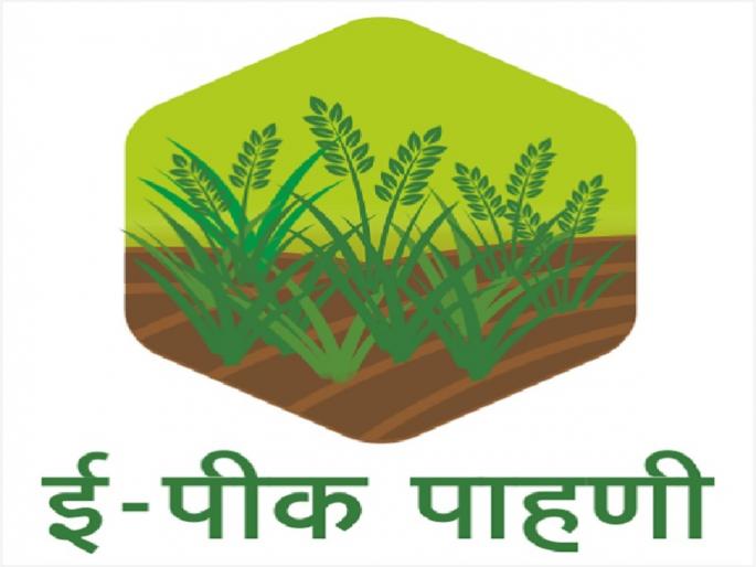 1 30 lakh farmers of Washim district will self-register information on Satbara | वाशिम जिल्ह्यातील १.३० लाख शेतकरी स्वत: नोंदविणार सातबारावर माहिती 1 30 lakh farmers of Washim district will self-register information on Satbara | वाशिम जिल्ह्यातील १.३० लाख शेतकरी स्वत: नोंदविणार सातबारावर माहिती