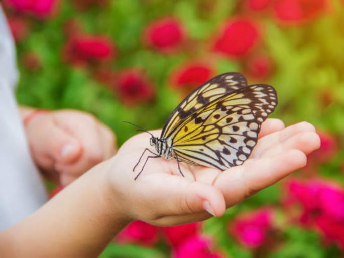 Trying to get something but not succeeding? Read this solution! | एखादी गोष्ट मिळावी म्हणून प्रयत्न करताय पण यश मिळत नाही? वाचा 'हा' उपाय! Trying to get something but not succeeding? Read this solution! | एखादी गोष्ट मिळावी म्हणून प्रयत्न करताय पण यश मिळत नाही? वाचा 'हा' उपाय!