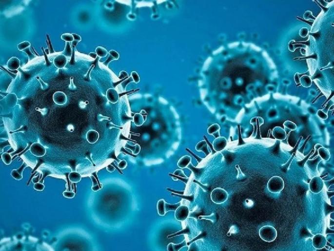 omicron new subvariant xbb cases in india know from experts all about this variant | मोठी बातमी! कोरोनाच्या नव्या लाटेची चाहुल, नव्या व्हेरिअंटची भारतात एन्ट्री; तज्ज्ञांनी दिला इशारा omicron new subvariant xbb cases in india know from experts all about this variant | मोठी बातमी! कोरोनाच्या नव्या लाटेची चाहुल, नव्या व्हेरिअंटची भारतात एन्ट्री; तज्ज्ञांनी दिला इशारा