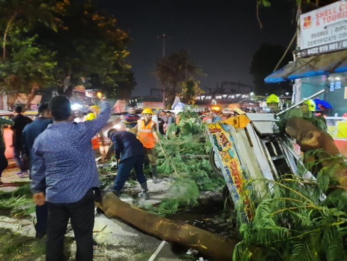 Two hawkers injured by falling tree; Including the fish seller | झाड कोसळून पादचाऱ्यासह दोन फेरीवाले जखमी; मच्छी विक्रेत्या महिलेचा समावेश Two hawkers injured by falling tree; Including the fish seller | झाड कोसळून पादचाऱ्यासह दोन फेरीवाले जखमी; मच्छी विक्रेत्या महिलेचा समावेश