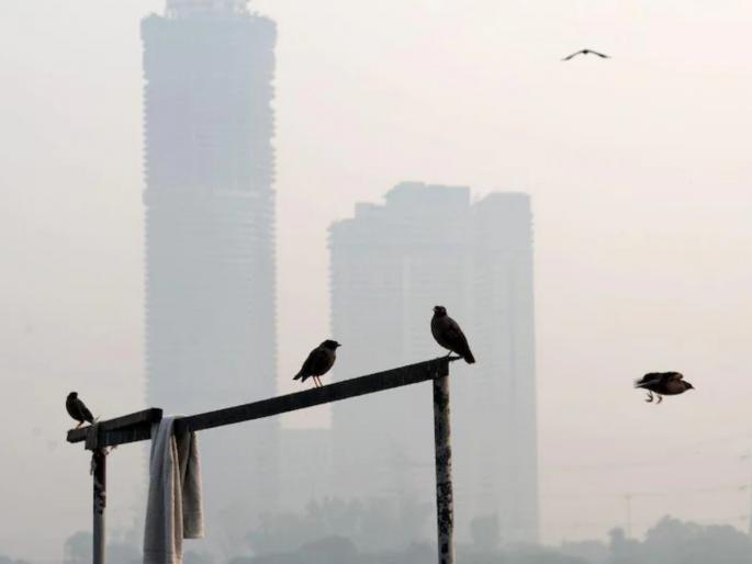 delhi pollution environment minister gopal rai appealed for work from home | प्रदुषणामुळे दिल्ली पुन्हा संकटात, पर्यावरण मंत्र्यांनी केलं 'वर्क फ्रॉम होम'चं आवाहन! delhi pollution environment minister gopal rai appealed for work from home | प्रदुषणामुळे दिल्ली पुन्हा संकटात, पर्यावरण मंत्र्यांनी केलं 'वर्क फ्रॉम होम'चं आवाहन!