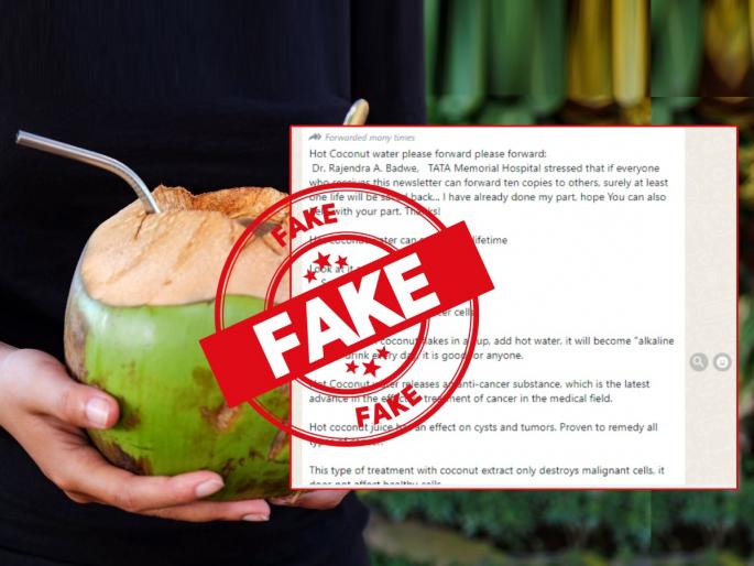 Drinking Hot Coconut Water Does Not Kill Cancer Cells Viral Post Is Fake | Fact Check: गरम नारळपाणी कॅन्सरवर गुणकारी नाही, व्हायरल पोस्टमधील दावा खोटा Drinking Hot Coconut Water Does Not Kill Cancer Cells Viral Post Is Fake | Fact Check: गरम नारळपाणी कॅन्सरवर गुणकारी नाही, व्हायरल पोस्टमधील दावा खोटा